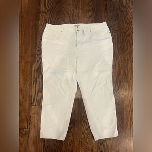 Madewell Girlfriend Jeans, size 22W, NWT